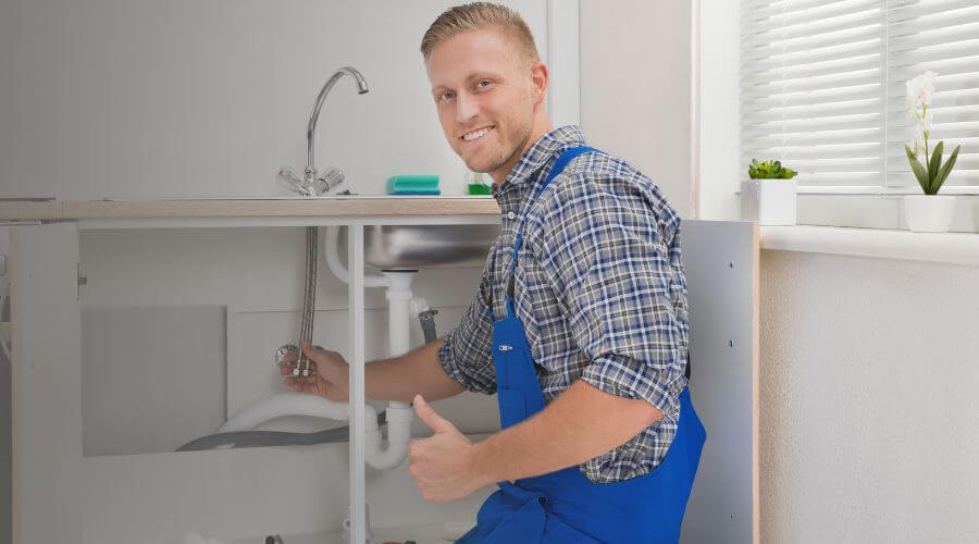 Professional clogged toilet repair in Glenbrook, NV